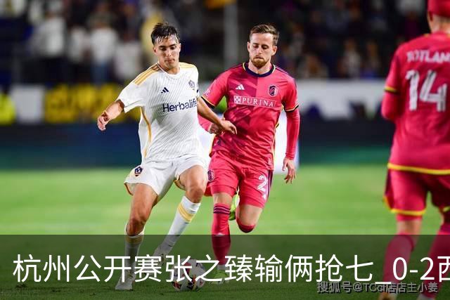 杭州公开赛张之臻输俩抢七 0-2西里奇收获亚军